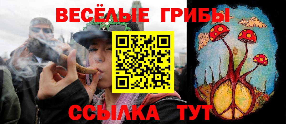Псилоцибиновые грибы прущие грибы Уварово